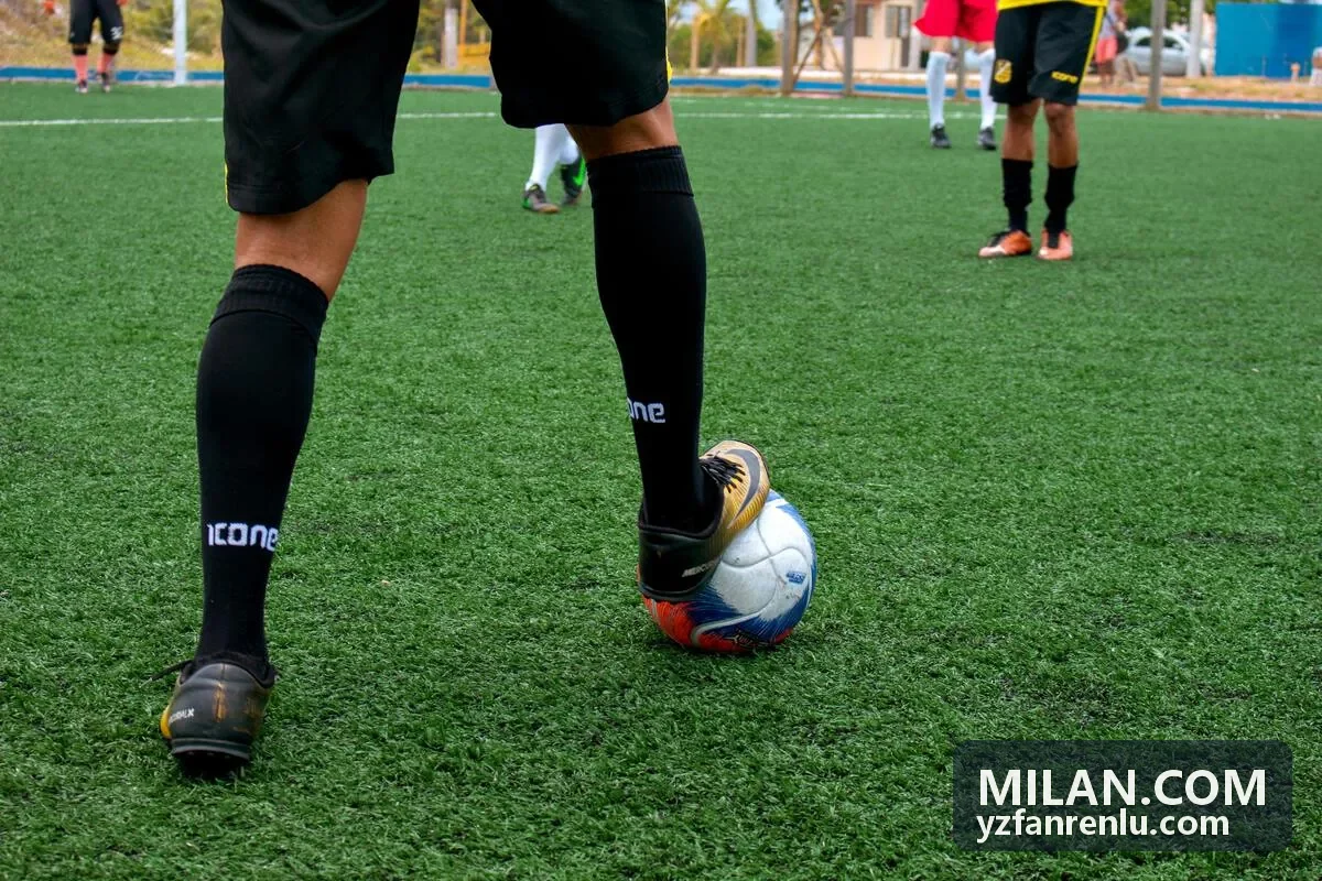 MILAN.COM 视觉系统